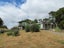 749 Te Tio Road, Umawera, Okaihau - Carousel 5