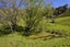 496A Backriver Road, Mangonui, Mangonui - Carousel 5