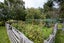 657 Domett Road, Domett, Cheviot - Carousel 27