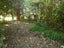 267 Hautere Cross Road, Hautere - Carousel 18