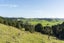 27 Hukerenui Road, Hikurangi - Carousel 19