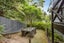 34 Sungrove Rise, Sunnyvale, Auckland - Carousel 12