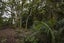 747A State Highway 14, Whangarei - Carousel 45