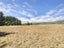 614 Wanaka-Luggate Highway, Wanaka, Wanaka - Carousel 8