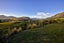 3 Pioneer Court, Jacks Point, Queenstown - Carousel 24