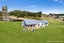 38 Kanuka Drive, Waitarere, Levin - Carousel 4