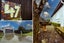 47 Raleigh Street, Leamington, Cambridge - Carousel 20