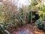 49 Birchfield Avenue, North East Valley, Dunedin - Carousel 21