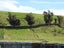 357 Pukeuri-Oamaru Road, Pukeuri, Oamaru - Carousel 15