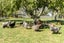 1 Grey Street, Martinborough, Martinborough - Carousel 6
