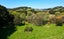 1115 Horeke Road, Okaihau - Carousel 22