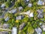 31 Brigantine Drive, Beach Haven, Auckland - Carousel 34