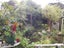 140 Woodlands Park Road, Titirangi, Auckland - Carousel 7