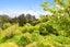 69 Roslyn Street, Taumarunui - Carousel 4