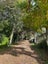 264 Talbot Street, Geraldine, Geraldine - Carousel 1