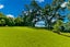 29 Kingfisher Grove, Greenhithe, Auckland - Carousel 26