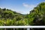 63 Kohu Road, Titirangi, Auckland - Carousel 3