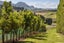 96 Lindemann Road, Tahawai, Katikati - Carousel 24