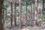 200 Okains Bay Road, Robinsons Bay, Robinsons Bay - Carousel 3