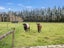 675 Wolffs Road, Eyrewell, Rangiora - Carousel 19