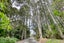 128 Settlement Road, Kaiwaka, Kaiwaka - Carousel 5
