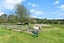 50 Kents Road, Reikorangi, Waikanae - Carousel 43