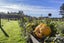 0 Pardoa Boulevard, Chartwell, Hamilton - Carousel 30