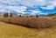 4023 Northbank Road, Blenheim - Carousel 30