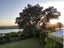 21 Ngaio Street, Orakei, Auckland - Carousel 12