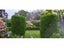 236A Talbot Street, Geraldine - Carousel 21