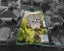 62 Stottholm Road, Titirangi, Auckland - Carousel 22