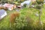 74 Oxford Street, Lansdowne, Masterton - Carousel 27