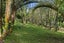 6388A South Road, Pungarehu, Opunake - Carousel 11
