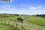 20A Gabriels Gully Road, Waiotahe, Opotiki - Carousel 21
