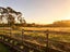 68 South Kensington Way, Henderson, Auckland - Carousel 20