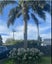 10I Sylvan Avenue East, Mount Eden, Auckland - Carousel 2