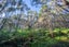 54B Harambee Road, Taiharuru, Parua Bay - Carousel 33