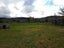 9230 Paeroa Kopu Road, Matatoki, Thames - Carousel 2