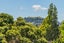 20 Admiral Beatty Avenue, Mt Roskill, Auckland - Carousel 25