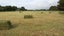 115A Arcus Road, Te Horo - Carousel 37