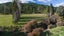 402 Pigeon Valley Road, Pigeon Valley, Wakefield - Carousel 19