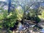 877 Tiki Quarry Road, Preece Point, Coromandel - Carousel 14