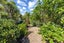 19 Manuka Road, Waiheke Island , Waiheke Island - Carousel 20