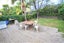 66 Summer Street, Ponsonby, Auckland - Carousel 12