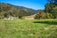 561 Opouri Road, Rai Valley, Rai Valley - Carousel 30