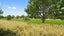 50 Bamber Crescent, Halswell, Christchurch - Carousel 13