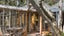 3 Paulus Terrace, Cashmere, Christchurch - Carousel 1
