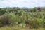 960A Oneriri Road, Kaiwaka, Kaiwaka - Carousel 8
