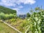 305 Newtons Road, Christchurch - Carousel 32