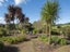 20A Old Tauranga Road, Athenree Gorge, Waihi - Carousel 25